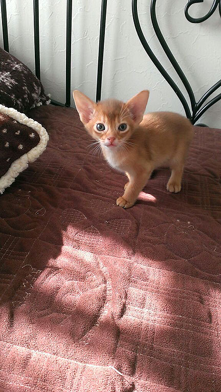 元気に大きくなってちょうだいよ。