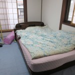 笑えるアビシニアンのアビのすけ。