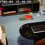 誰にでも懐くアビのすけ。