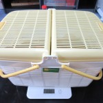 アビのすけの体重測定。