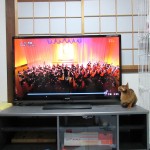 テレビの画面に触るアビのすけ。