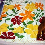 笑ってしまうアビシニアン。