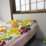 アビのすけの毎朝の様子。