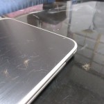 アビのすけの毛が抜けていた。