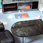 朝から元気なアビシニアン・