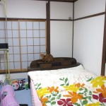 悪知恵の働くアビシニアン。