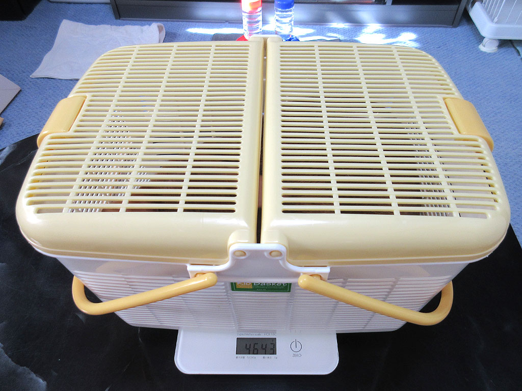 アビのすけの体重測定。