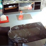 朝日の中のアビシニアン。