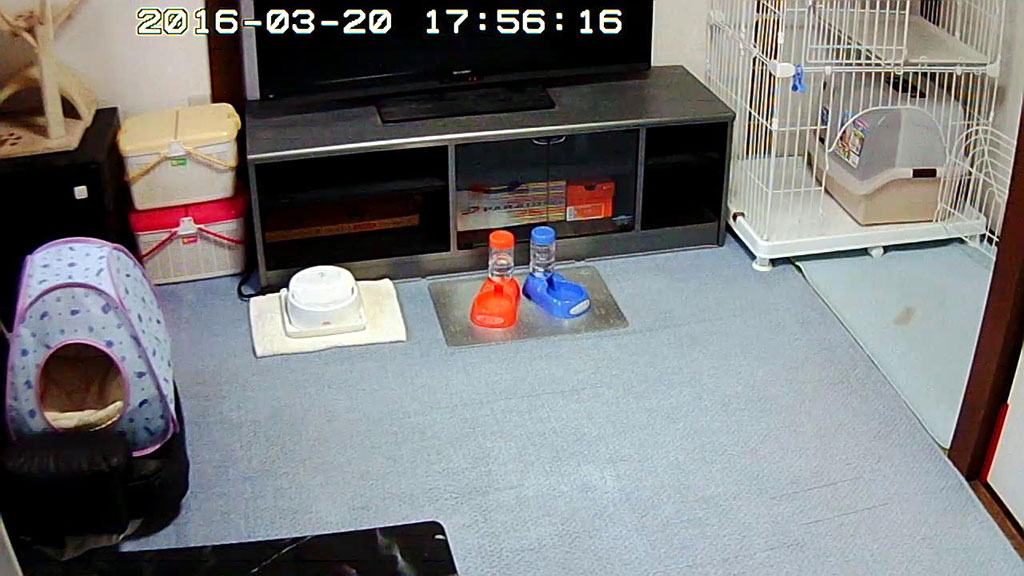 回転座椅子を搬出しました。