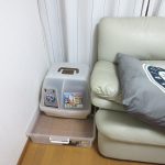 我が家の1階の風景。