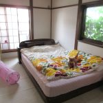 タフなアビシニアン。