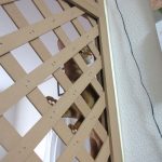 ご飯が待ちきれないアビのすけ。