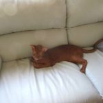 もしかして1階で寝る？