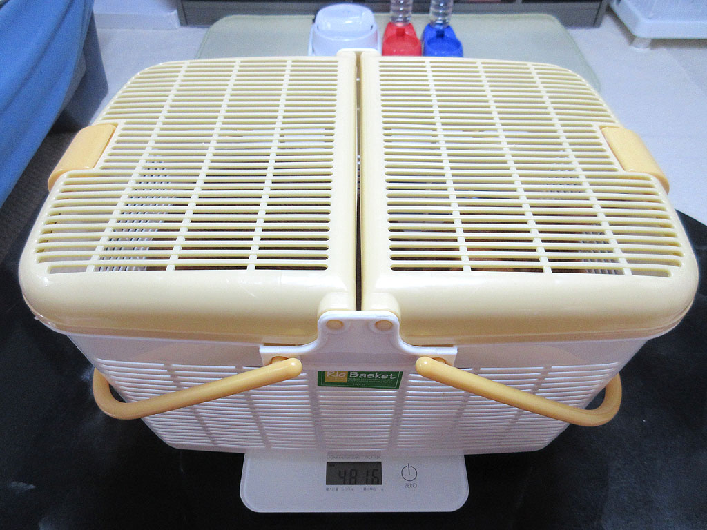 アビのすけの体重測定。