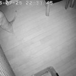 やんちゃ坊主のアビのすけ。