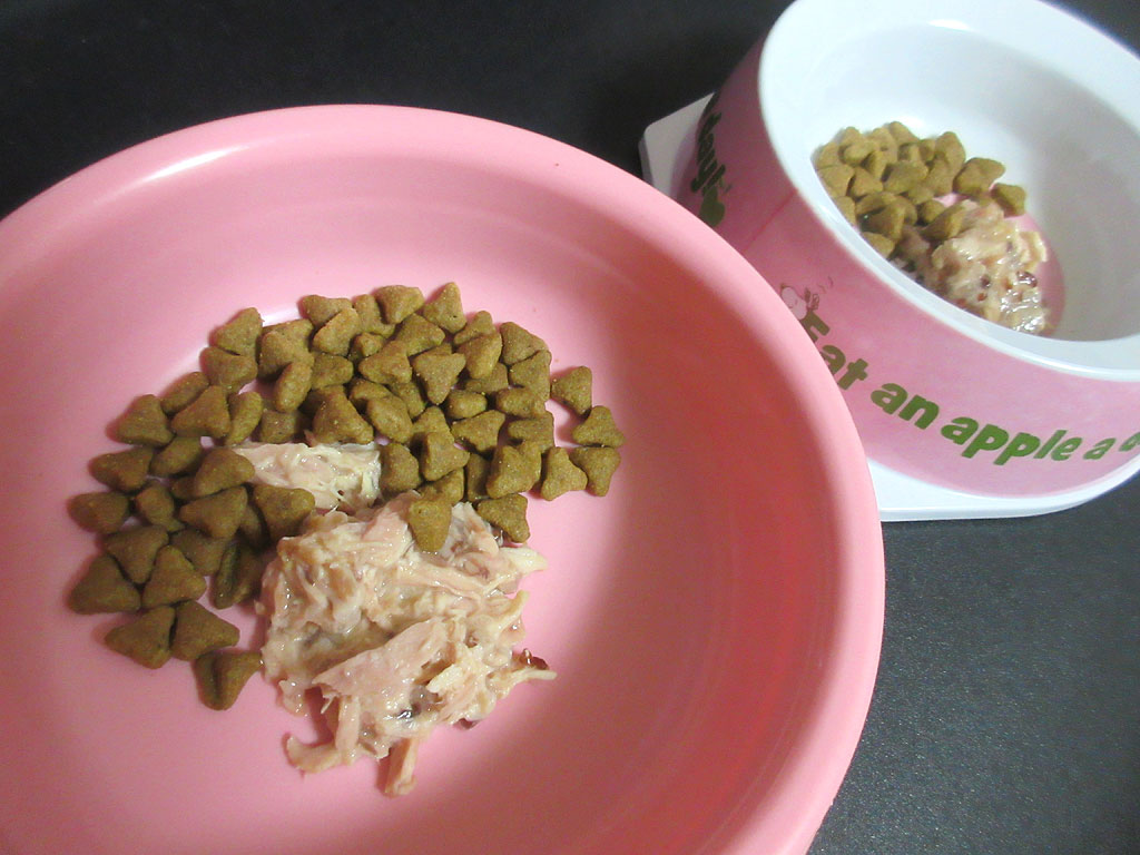 缶詰を増やしたご飯。