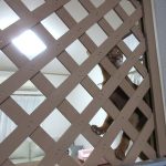 悪戯が増量のアビのすけ。