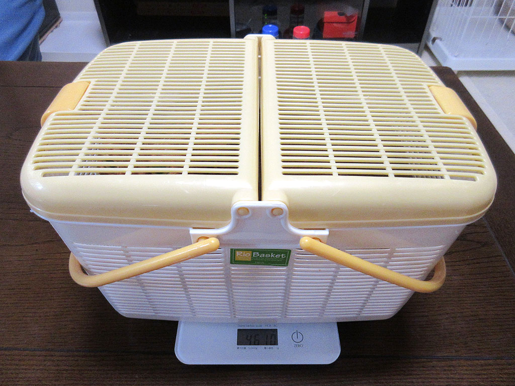 アビのすけの体重測定。