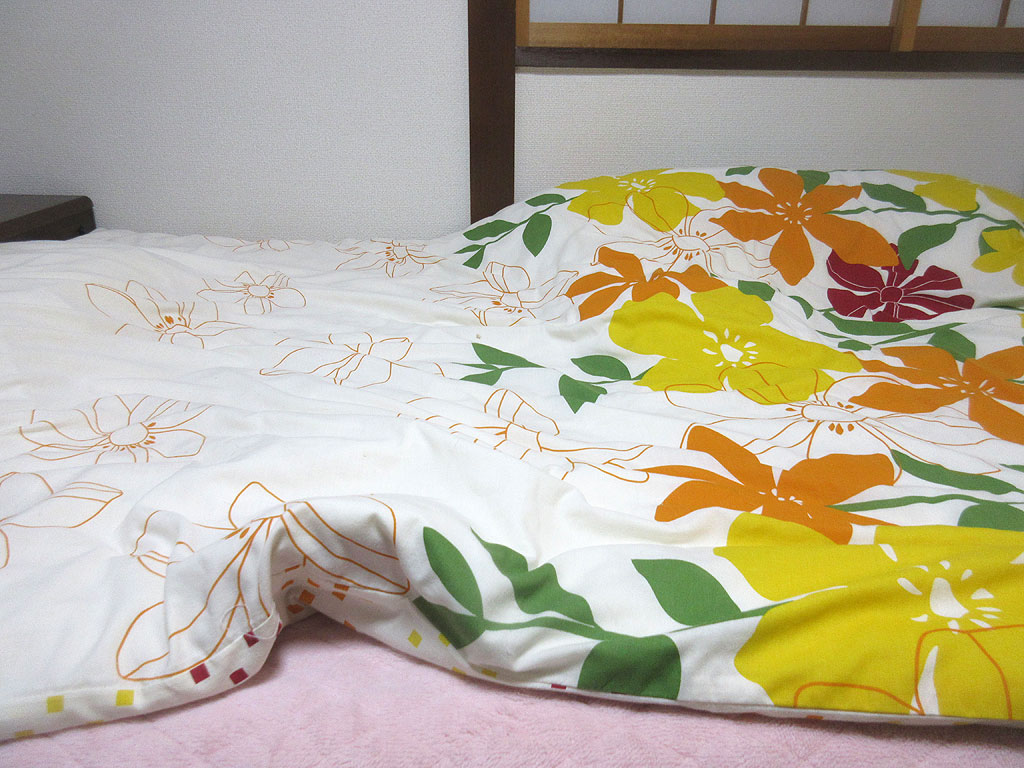 アビのすけが潜り込んだトンネル。