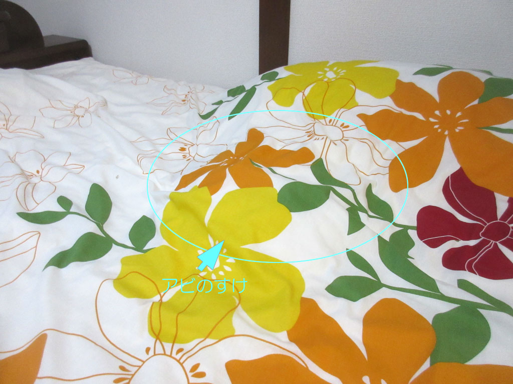 笑えるアビのすけ。