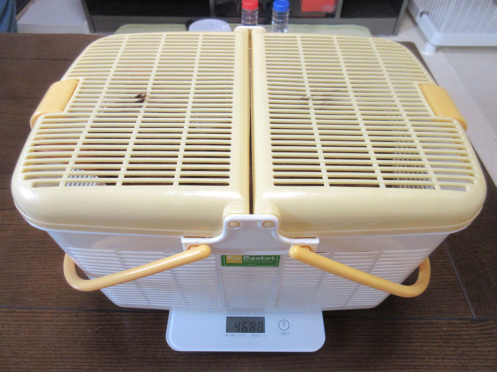 アビのすけの体重測定。