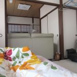 こっちを見ていたアビのすけ。