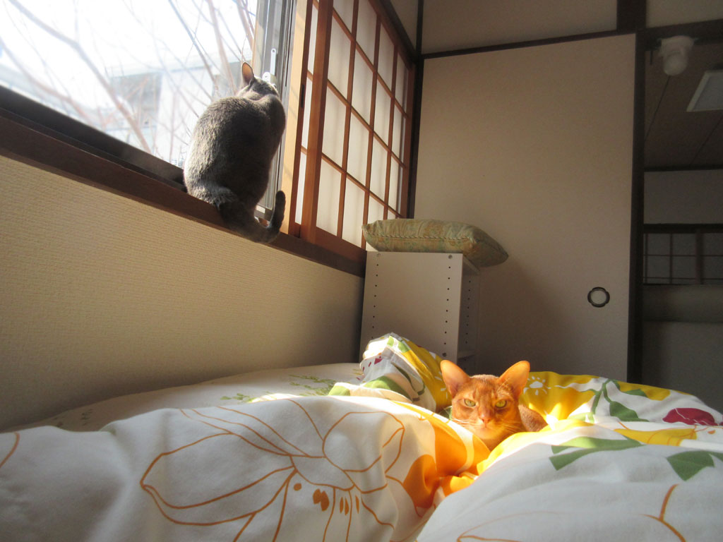 ロシ子もやって来ました。