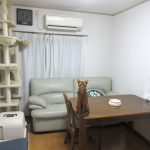 晩ご飯前のあびのすけ。