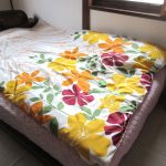 布団で寝ているアビのすけ。