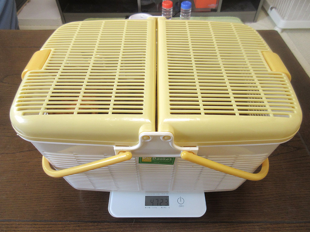 アビのすけの体重測定。