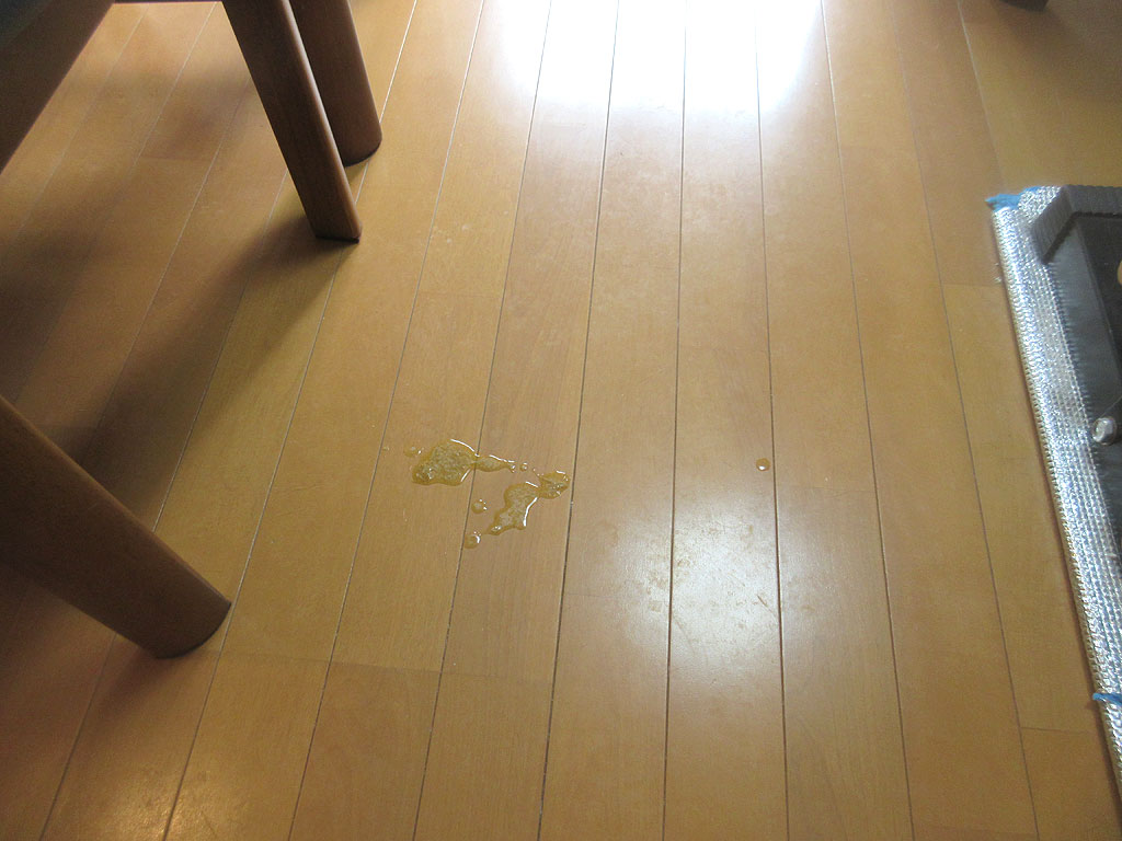 アビのすけの吐いた跡。