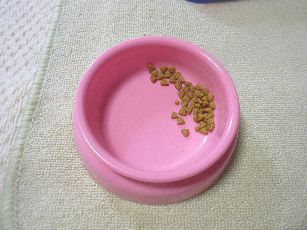 一旦、アビのすけの残したご飯。