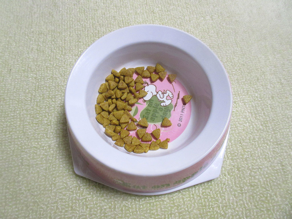 ロシ子が一旦、残したご飯。