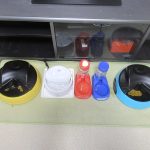 猫たちの自動給餌器。