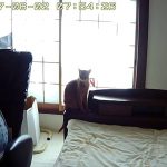 今朝のアビのすけ。