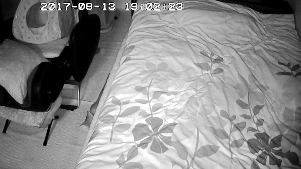 暗視モードのアビのすけ。