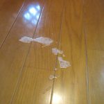 アビのすけが吐いた跡①。