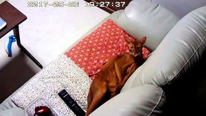 暗視モードをオン・オフに。