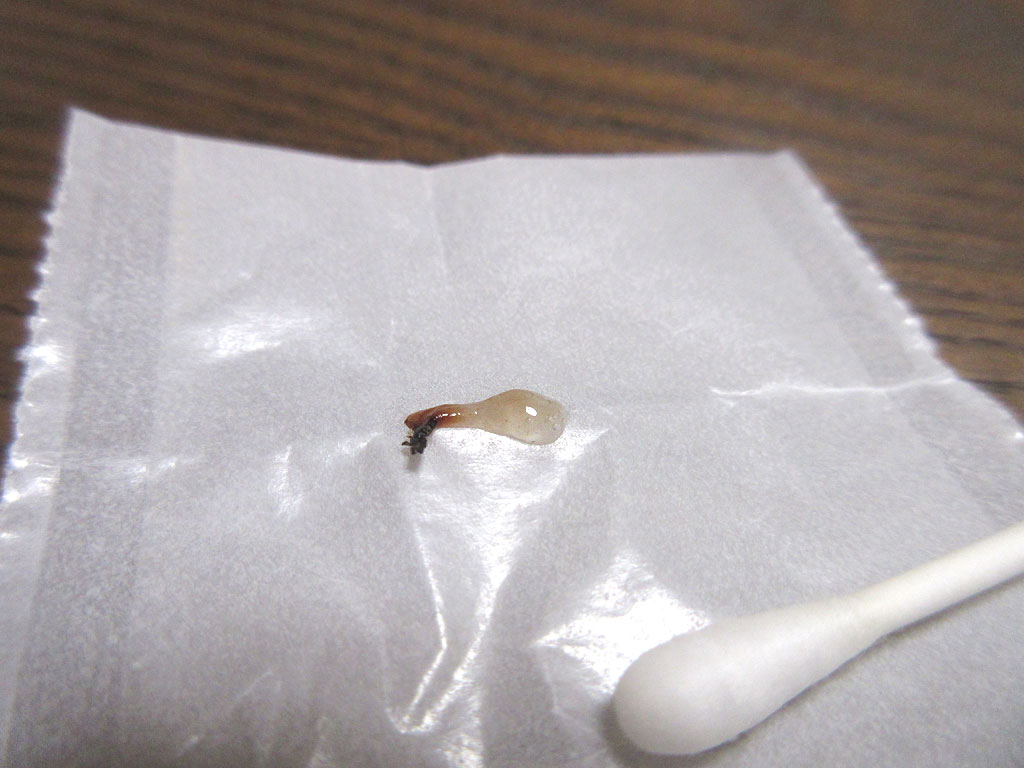 気持ち悪い。