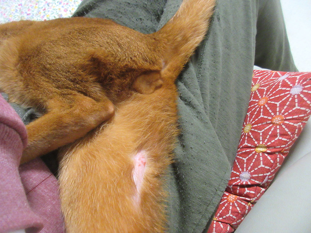 モメタオティック後の状況。