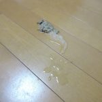 手前側の吐いた物。