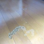 吐いた物の写真。