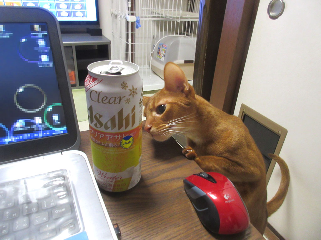 悪戯坊主のアビのすけ。