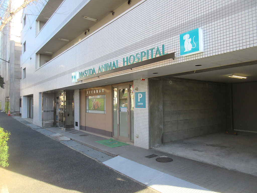 ますだ動物病院。