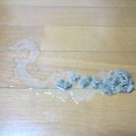 アビのすけの吐いた物。