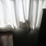 最近はここばっかり。