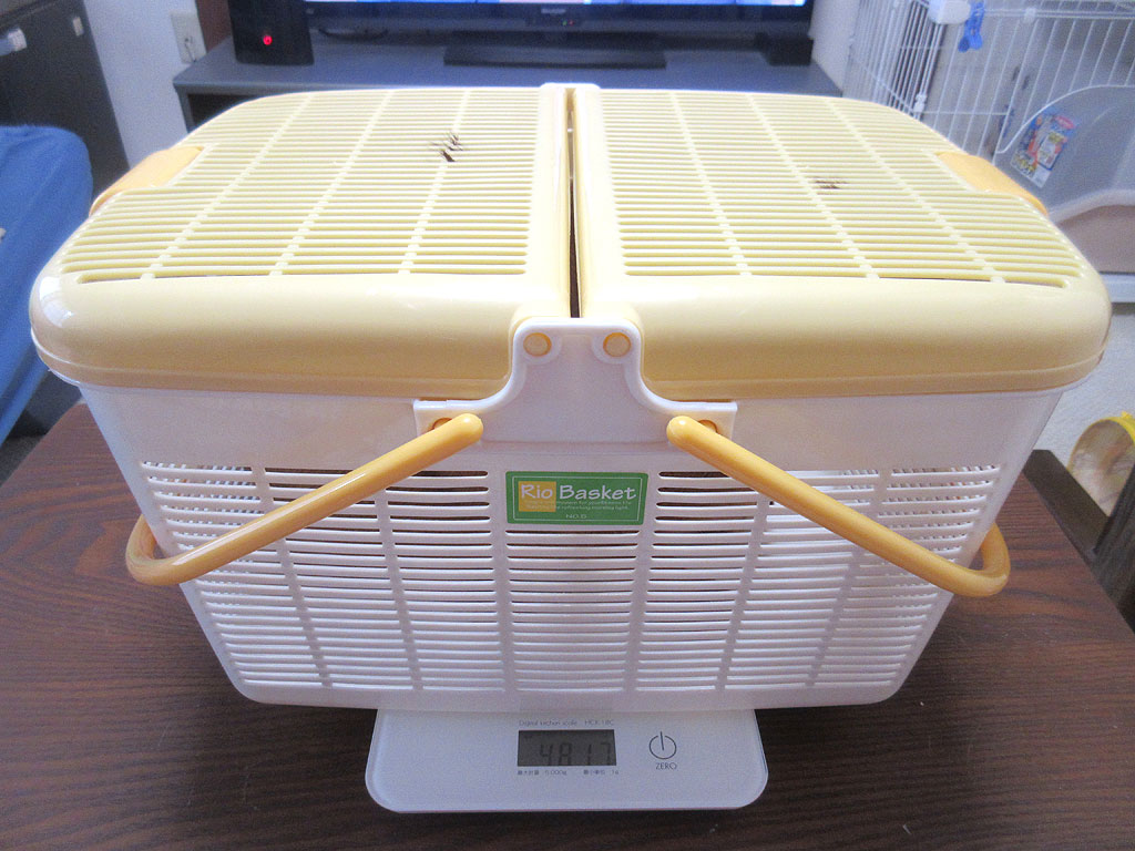 アビのすけの体重測定。