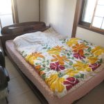 アビのすけが昼寝中。