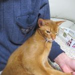 1週間前のアビのすけ君。