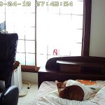 お留守番最終日のアビのすけ。